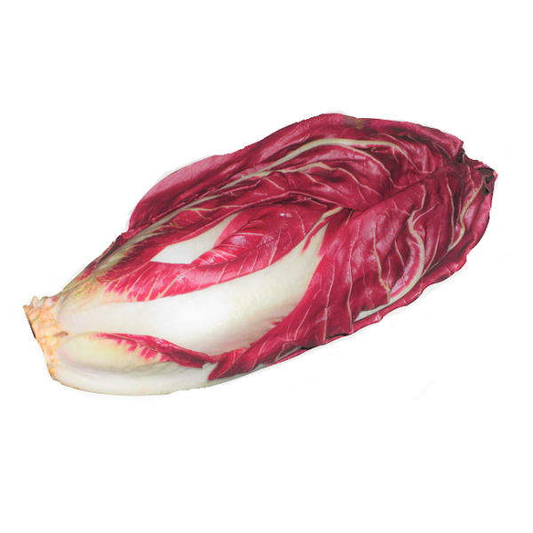 RADICCHIO LUNGO GR. 500 (ITALIA)