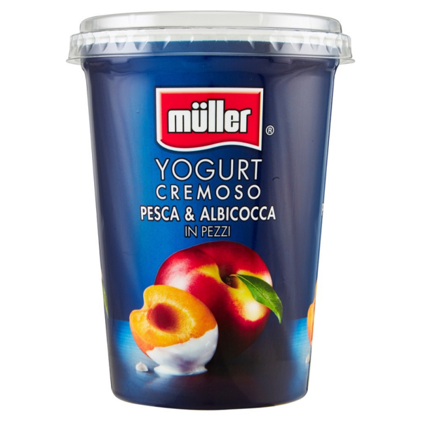 CREMA DI YOGURT PESCA & ALBICOCCA MULLER GR. 500