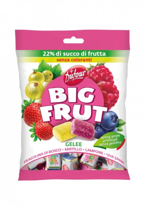 BIG FRUIT GELÈE FRUTTI DI BOSCO DUFOUR GR. 150